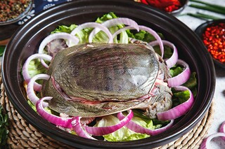 教师提高业务水平总结（教师提高业务水平的重要性）