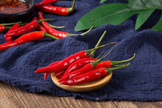 古诗作文600字_《古诗》作文