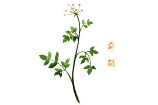 从去年华丽到今年的唯美语录