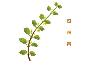 草原课文原文（草原课文原文图片）