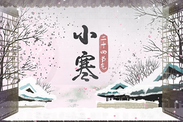军训感想作文_军训感想作文范文