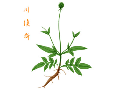 学生励志演讲稿800字左右