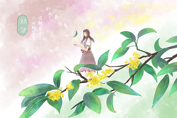 特岗教师年度考核个人总结(特岗教师年度考核连续三年优秀)