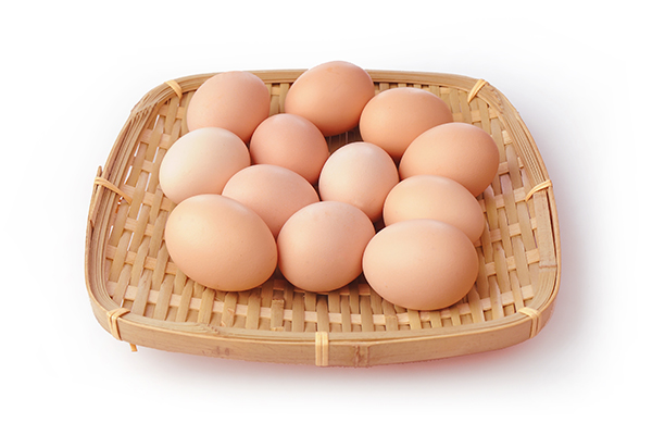 电子开发方案公司