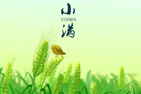 听雨的作文700字