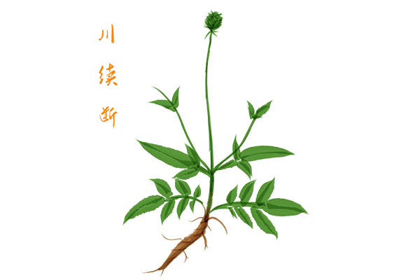住宅装修工程施工合同(旧房翻新装修施工合同)