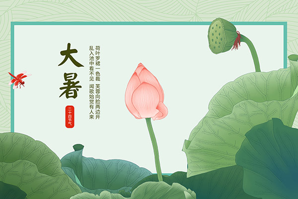 质量体系专员岗位职责