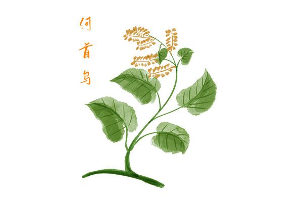 人生感悟的句子女人