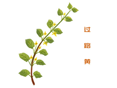 汽车租赁合同完整版