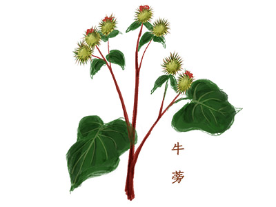 比赛现场节目很多怎么串词
