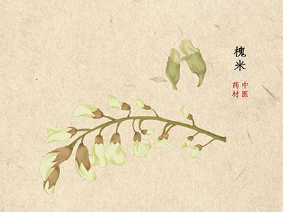 动漫的经典语录有哪些_日本动漫台词经典语录