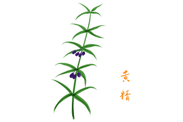 小学音乐活动说课稿_音乐说课稿万能模板