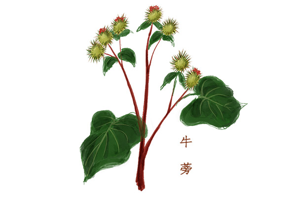 高中学生自我评价「」_高中学生自我评价