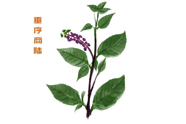 变色龙教案及板书设计