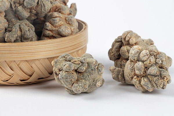 美丽的植物园春夏秋冬作文