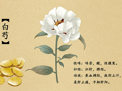 优秀学生代表发言稿200字