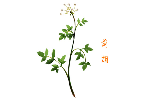 健康领域保护牙齿教案(保护牙齿健康教案ppt)