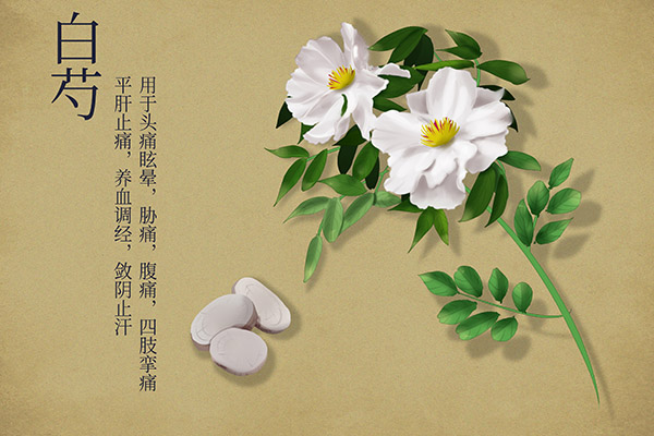 幼儿园教师能力提升培训心得体会_教师信息技术2.0培训心得体会