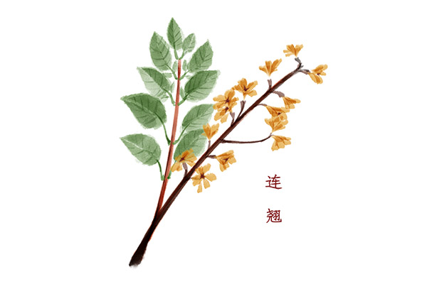 建筑工作自我评价怎么写
