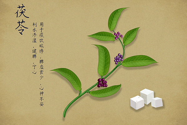 单位春游活动方案