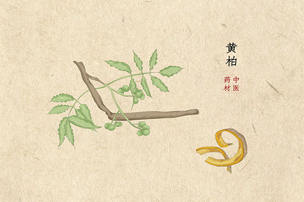 夫妻感情不和离婚协议书_夫妻双方离婚协议书最新版