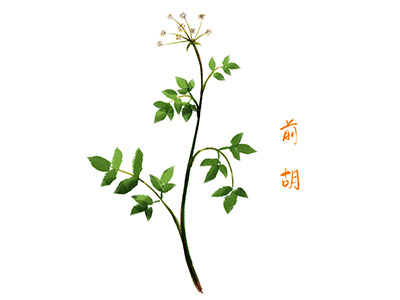 机械合同范本