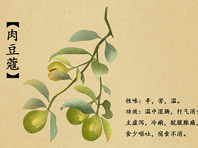 学生学期学习计划(一年级下半学期学习计划)