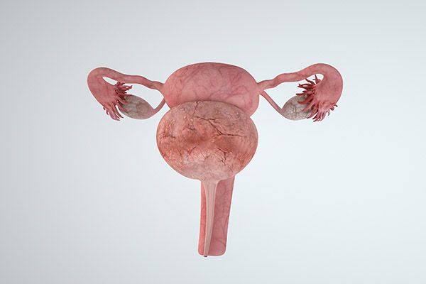 检讨学生版