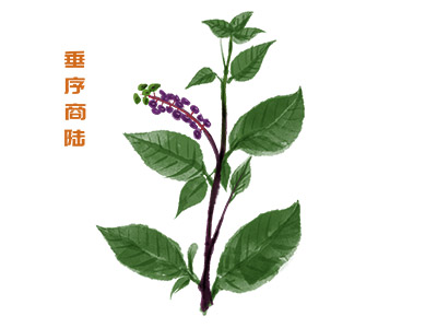 幼师师德师风心得