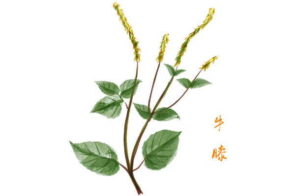 简单家居装修合同_装修报价合同范本