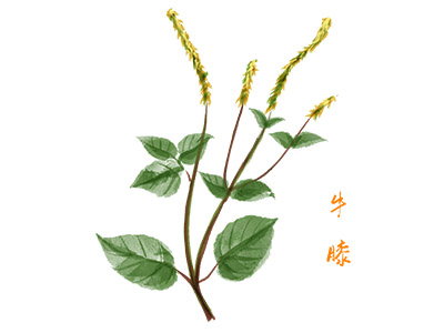 春运突发情况应急预案_春运期间恶劣天气应急预案分享