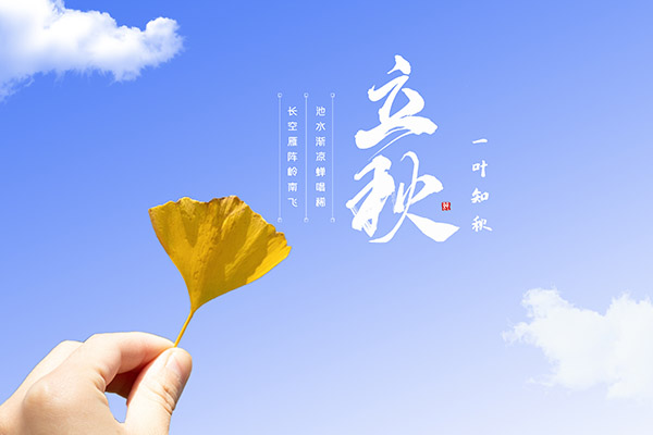 幼儿园教师职业道德规范制度_幼儿园教职工职业道德规范制度