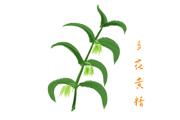 公司设备管理科的工作总结(公司设备管理工作总结)