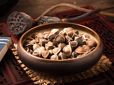 劳务合同_劳务合同纠纷律师咨询