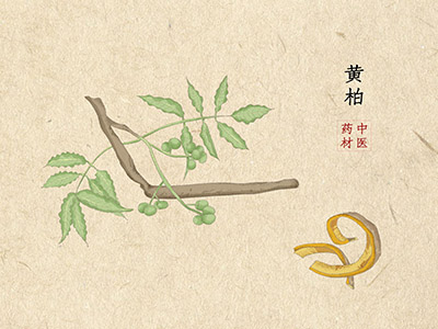 委托代销合同的内容_委托销售合同