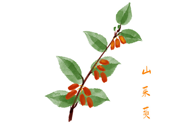 委托开发合同(委托开发合同审核要点)