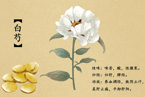 双方离婚协议书_离婚协议书范文
