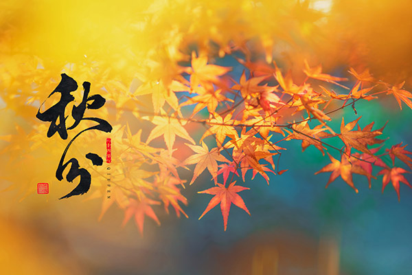 商务合同(商务合同是什么意思)